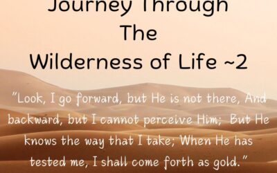 “Midbar” ~ The Wilderness Journeys of Life ~ 2