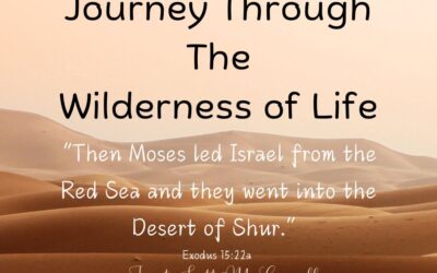“Midbar” ~ The Wilderness Journeys Of Life #1