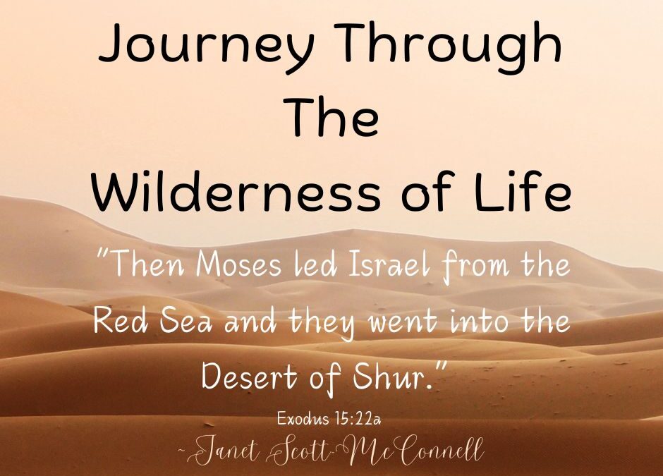 “Midbar” ~ The Wilderness Journeys Of Life #1