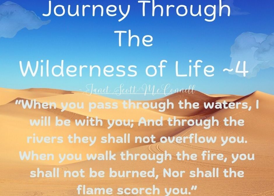 “Midbar” ~The Wilderness Journeys of Life ~4