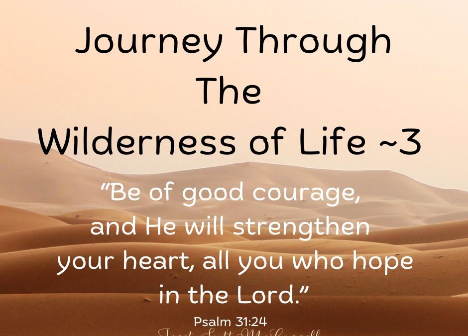 “Midbar” ~ The Wilderness Journeys of Life ~3