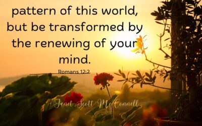 Don’t Join In The Confusion ~ Renew Your Mind