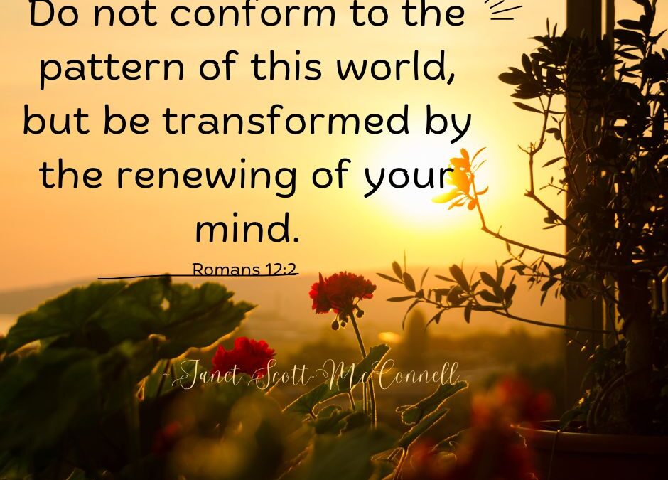 Don’t Join In The Confusion ~ Renew Your Mind