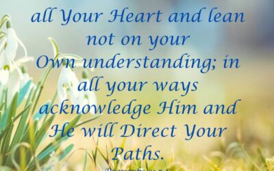 Stir Up Your Trust in Him…