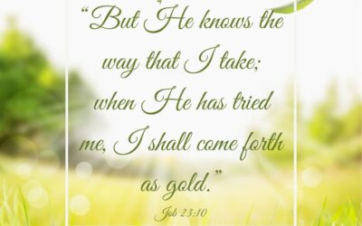 He Sees It All & He’s Got Your Back