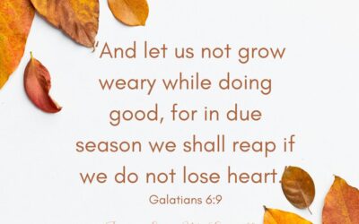 Don’t Lose Heart!