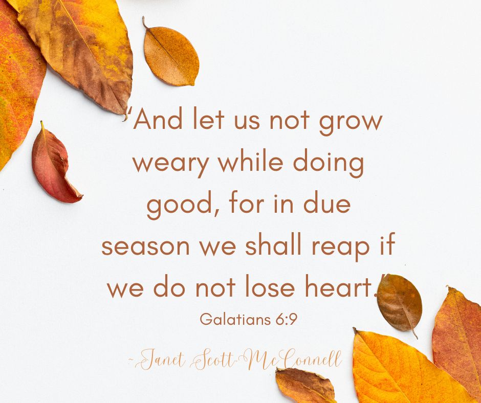“And let us not grow weary