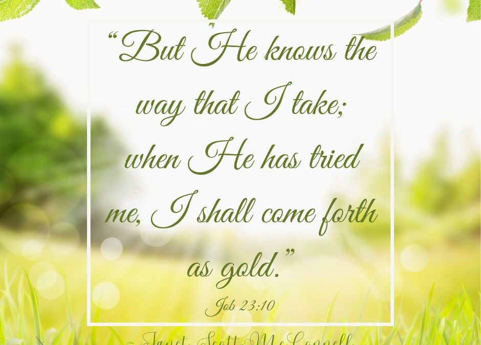 Hold On! Trust Him ~ Cling To Him!