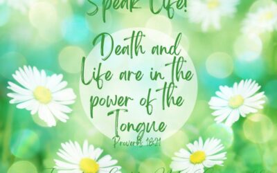 Take The Opportunity…