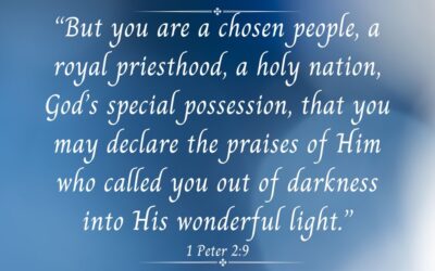 You Are Chosen…