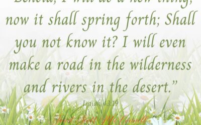 Focus On Him & Trust Him…