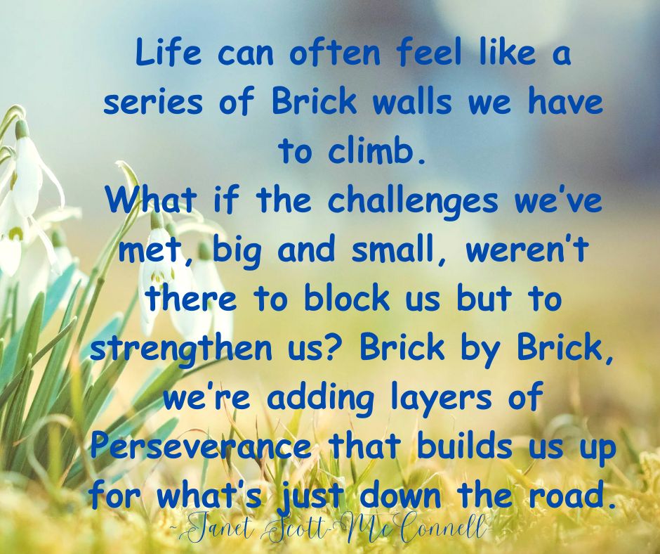 Life can often feel like a series of Brick walls