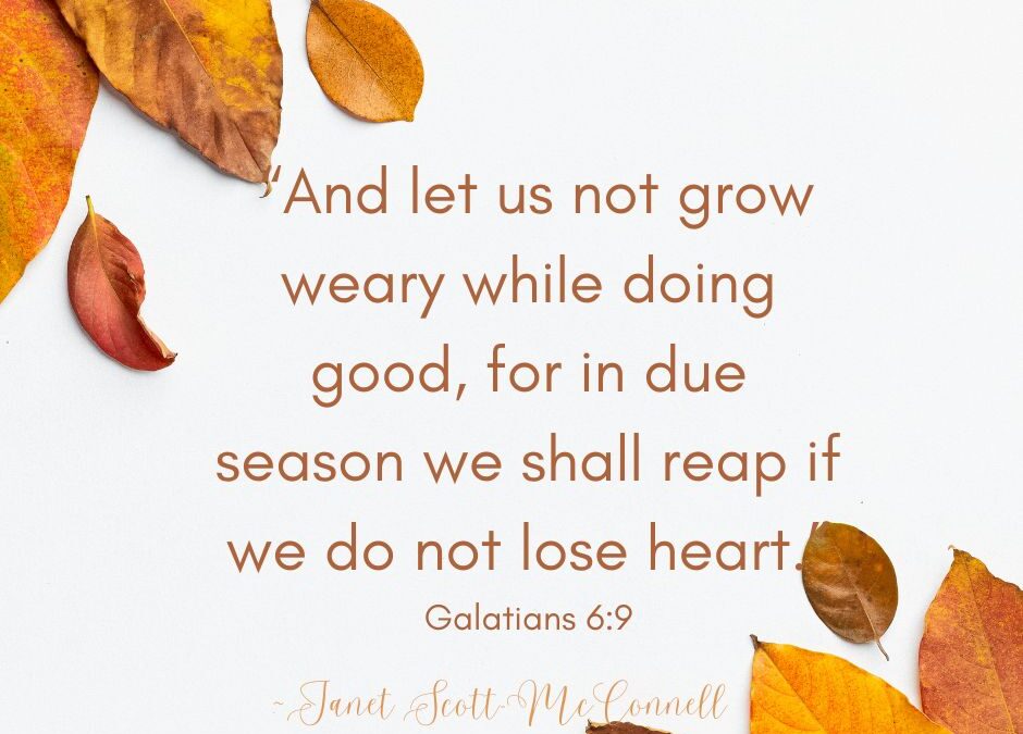 What If We Each Did “1” Thing To Bless Someone Else’s Day?