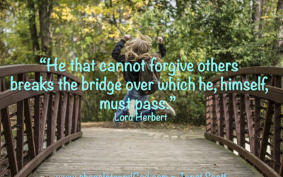 Don’t Burn The Bridge…