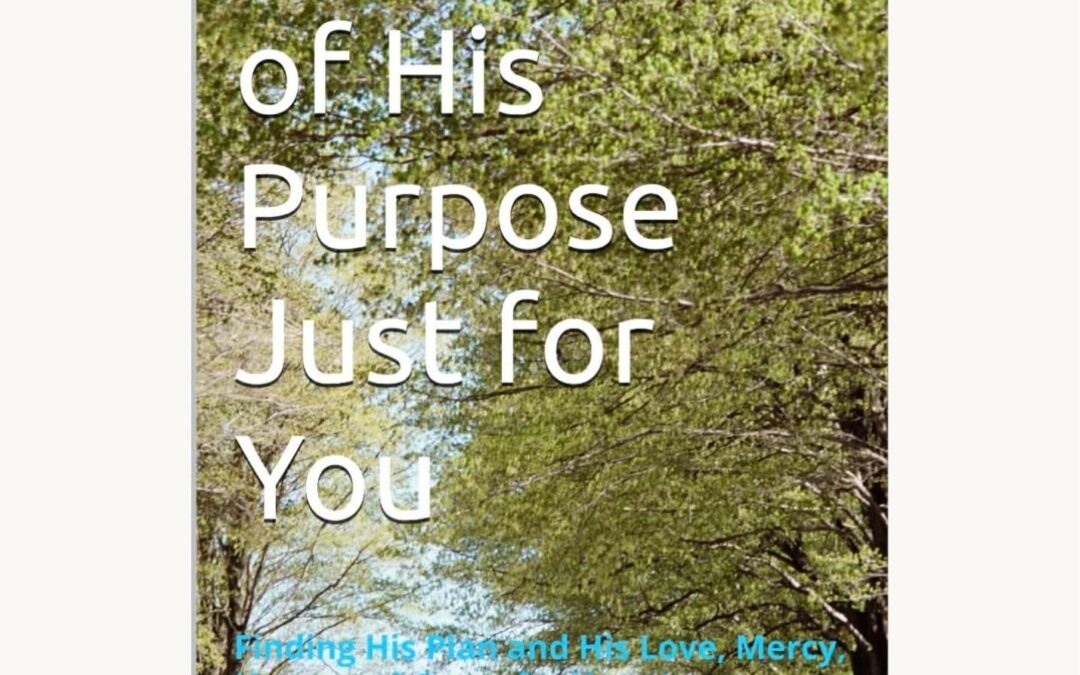 NEW BOOK RELEASE!!! ON SALE NOW! (Link Below)