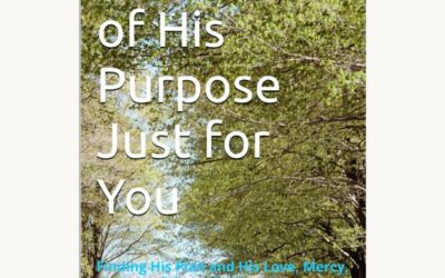 NEW BOOK RELEASE!!! ON SALE NOW! (Link Below)