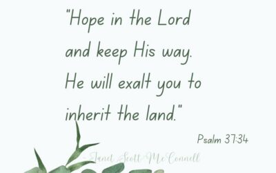 Stay Faithful & Hold Onto Your Hope in All He Has Promised!