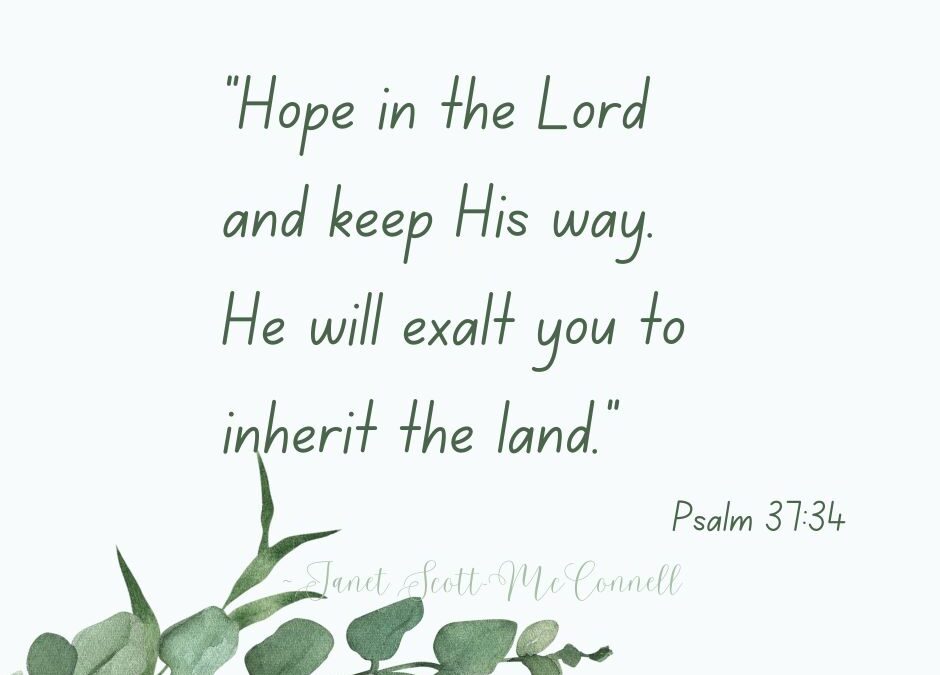 Stay Faithful & Hold Onto Your Hope in All He Has Promised!