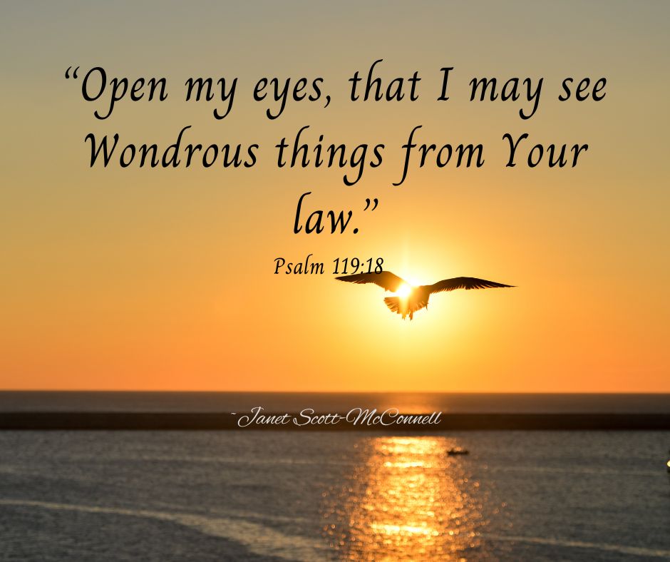Psalm 119. 18